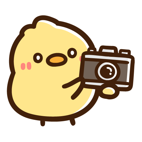 嬉しそうにカメラを持つひよこ