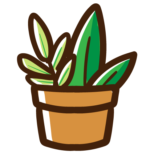 シンプルな観葉植物